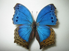 �����V���V���W���^�e�n