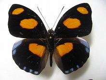 �~�c�{�V�^�e�n