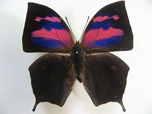 �x�j�L�m�n�^�e�n