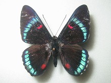 �����V�W�~�^�e�n