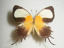 �~�c�I�V�W�~�^�e�n