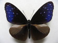 �c�}�����T�L�}�_��