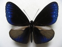 �c�}�����T�L�}�_��