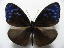 �c�}�����T�L�}�_��