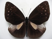 �I�I�����T�L�}�_��