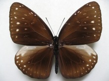 �I�I�����T�L�}�_��