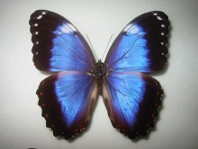 �r�I���Z�E�X�����t�H