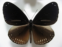 �A���Q�A�����}�_���Q�I�X