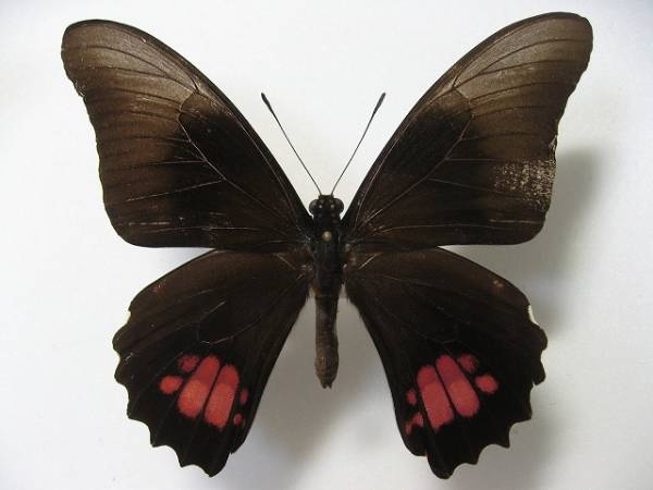 �x�j�����N���A�Q�n