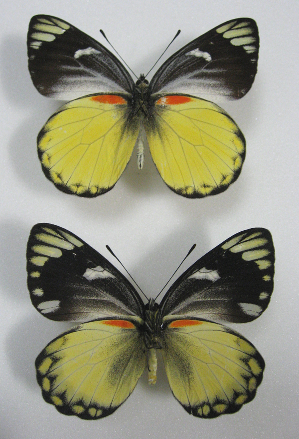 �x���T�}�J�U���V���`���E