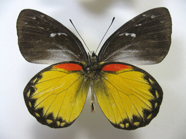 �x���T�}�J�U���V���`���E