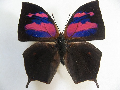 �x�j�L�m�n�^�e�n