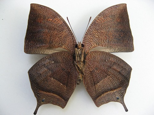 �x�j�L�m�n�^�e�n