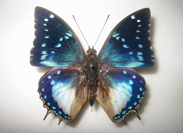 �L�^�G�����t�^�I