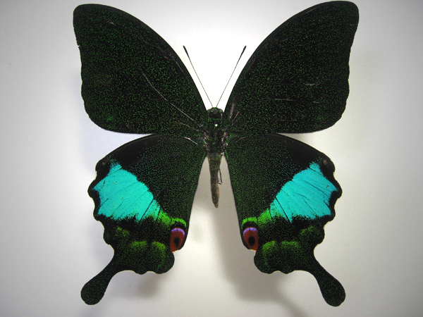 �J���i���������A�Q�n