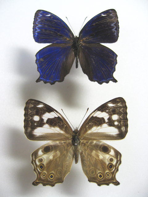 �����L�j�����q�J�Q