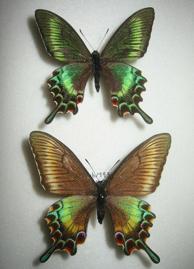 �~���}�J���X�A�Q�n �y�A