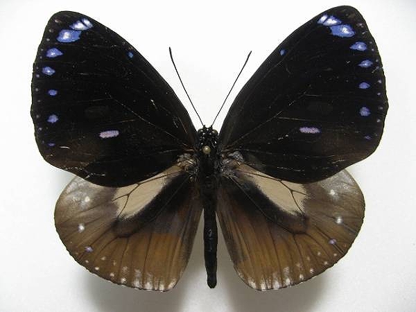 �}���o�l�����}�_��