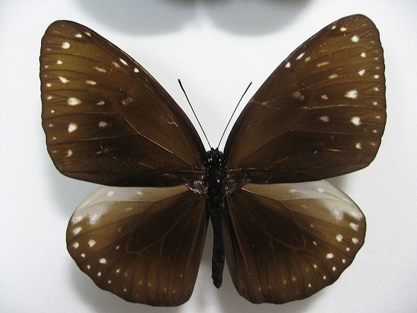 �I�I�����T�L�}�_��