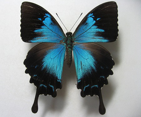 �I�I�����A�Q�n���@�Z����