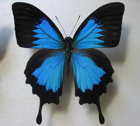 �I�I�����A�Q�n���@�Z����