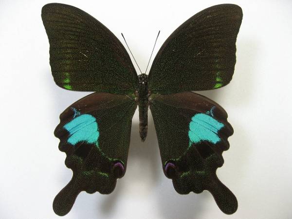 ���������A�Q�n