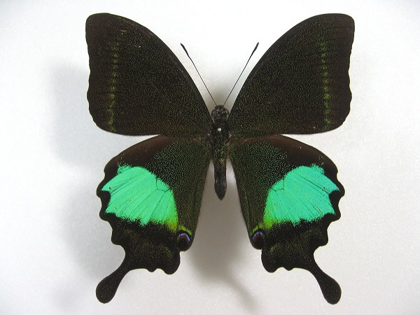 ���������A�Q�n