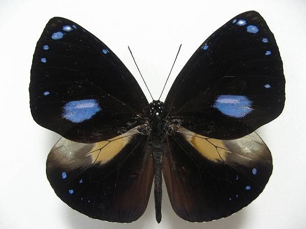 �}���o�l�����}�_��