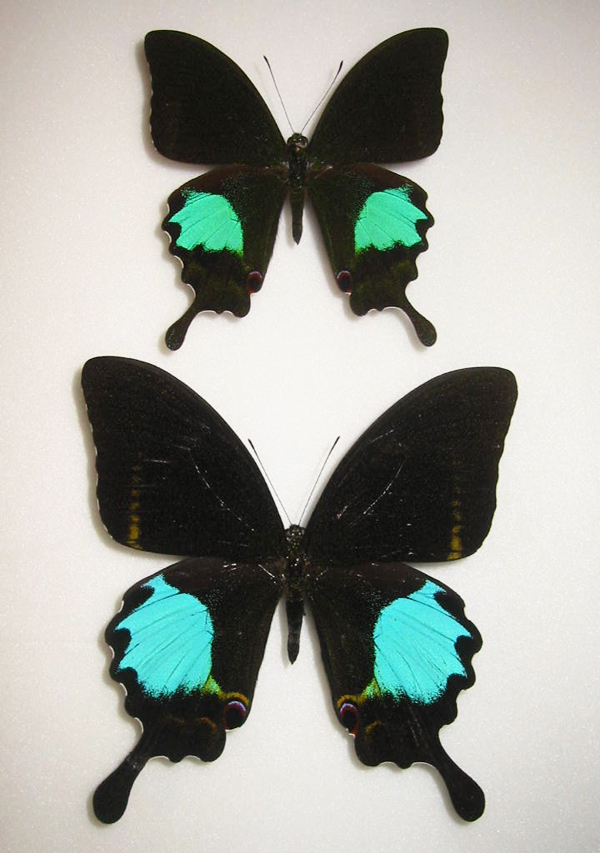 ���������A�Q�n