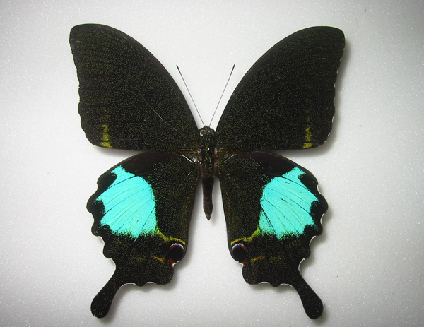 ���������A�Q�n