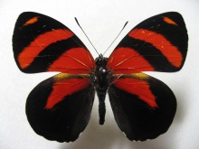 �x�j�I�r�E�Y�}�L�^�e�n