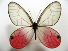 �x�j�X�J�V�W���m��