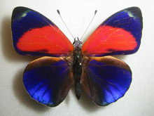 �}�G�L�A�J�l�^�e�n