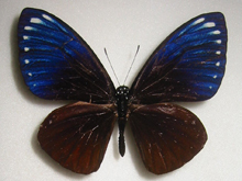 �I�I�����T�L�A�Q�n