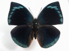 �|���N�\�L�m�n�^�e�n