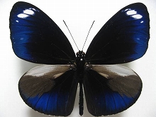 �c�}�����T�L�}�_��